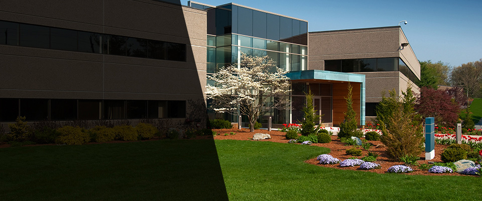 Bernalillo Landscapers